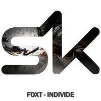 Artwork for Individe by Foxt