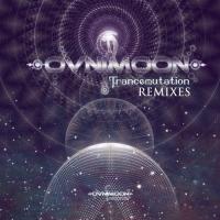 Artwork for Transmutation Remixed by Ovnimoon