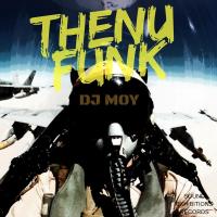 Artwork for The Nu Funk by DJ Moy