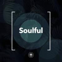 Artwork for Soulful by Nature Sounds Nature Music