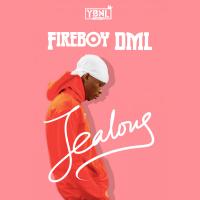 Artwork for Jealous by Fireboy DML