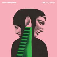 Artwork for Endless Arcade by Teenage Fanclub