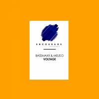 Artwork for Voltage by BASSMAXX