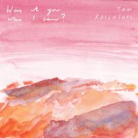 Artwork for Was It You Who I Saw? by Tom Rosenthal