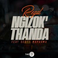 Artwork for Ngizok'Thanda by Regał