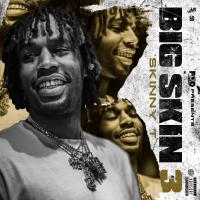 Artwork for Big Skin 3 by Skinny T