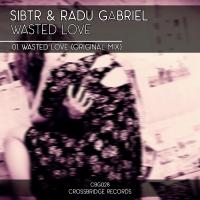 Artwork for Wasted Love by SIBTR