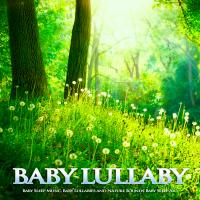 Artwork for Baby Lullaby: Baby Sleep Music, Baby Lullabies and Nature Sounds Baby Sleep Aid by Baby Sleep Music