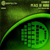 Artwork for Peace Of Mind by Xander.