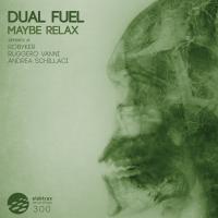 Artwork for Maybe Relax by Dual Fuel