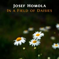 Artwork for In a Field of Daisies by Josef Homola