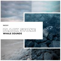 Artwork for Black Stone by Whale Sounds