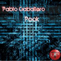 Artwork for Pook by Pablo Caballero