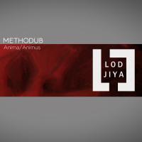 Artwork for Anima\animus by Methodub