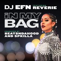 Artwork for In My Bag (feat. Reverie) by DJ Efn