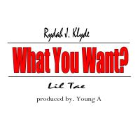 Artwork for What You Want? by Rydah J Klyde