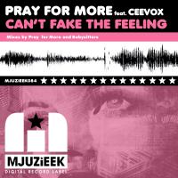 Artwork for Can't Fake The Feeling by Pray For More