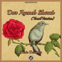 Artwork for Dar Ayeneh Sharab (Vocal Version) by Ersin Ersavas