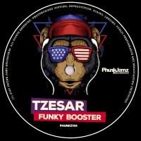 Artwork for Funky Booster by Tzesar