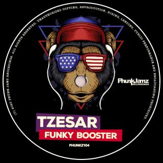 Artwork for Funky Booster (Original Mix)