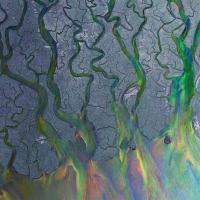 Artwork for An Awesome Wave (Deluxe Version) by alt-J