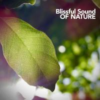 Artwork for Blissful Sound of Nature by Nature Sound Collection