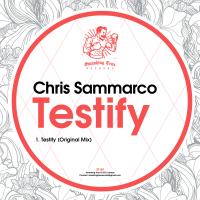 Artwork for Testify by Chris Sammarco