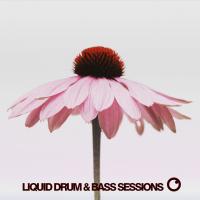 Artwork for Liquid Drum & Bass Sessions 2020 Vol 10 by Various Artists