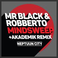 Artwork for Mindsweep by Mr Black