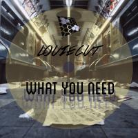 Artwork for What You Need by Louie Cut