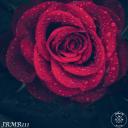 Artwork for Into You (Original Mix)