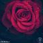 Artwork for Into You (Original Mix)