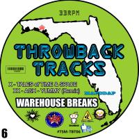 Artwork for Throwback Tracks: Warehouse Series, Vol. 6 by Skynet