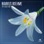 Artwork for The Soul In Me (Radio Edit)