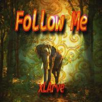 Artwork for Follow Me by Xlarve