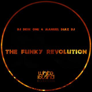 Artwork for The funky revolution (Original Mix)