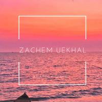 Artwork for Zachem Uekhal by Anatoly Space