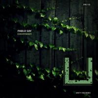 Artwork for Everybody by Pablo Say