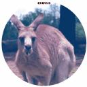 Artwork for Skippy (Rico Tubbs Remix)