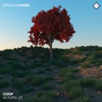 Artwork for Natural EP by coop