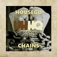 Artwork for Chains by Housego