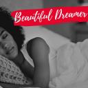 Artwork for Beautiful Dreamer