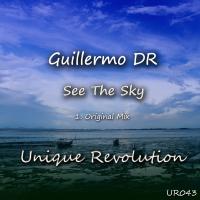 Artwork for See The Sky by Guillermo DR