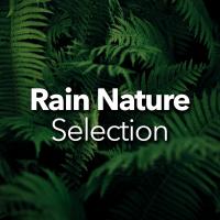 Artwork for Rain Nature Selection by Rain Sounds