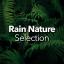 Artwork for Summer Rain