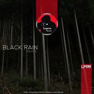 Artwork for Black Rain (Original Mix)