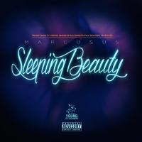 Artwork for Sleeping Beauty by Marcosus