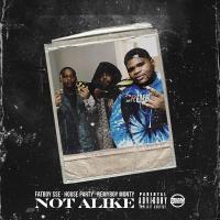 Artwork for Not Alike (feat. House Party & Monty) by FatBoy SSE