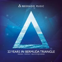 Artwork for 22 Years In Bermuda Triangle by Safinteam