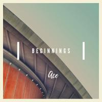 Artwork for Beginnings by ACE